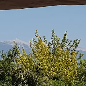 https://pura-vida.fr-provencehotel.com